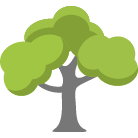 Suwanee Tree Removal