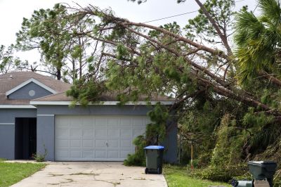 Storm Damage Tree Removal